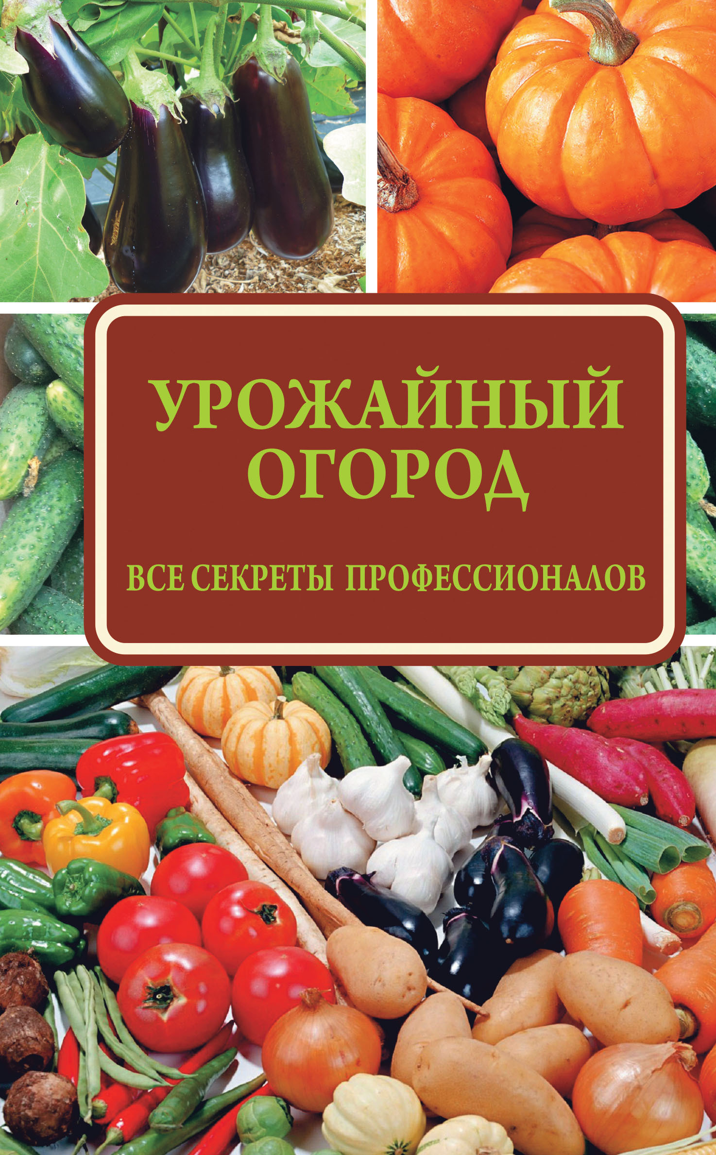 Урожайный Огород Каталог Интернет Магазина