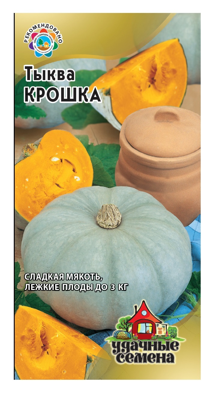 Тыква Крошка Описание Сорта Фото Отзывы – Telegraph