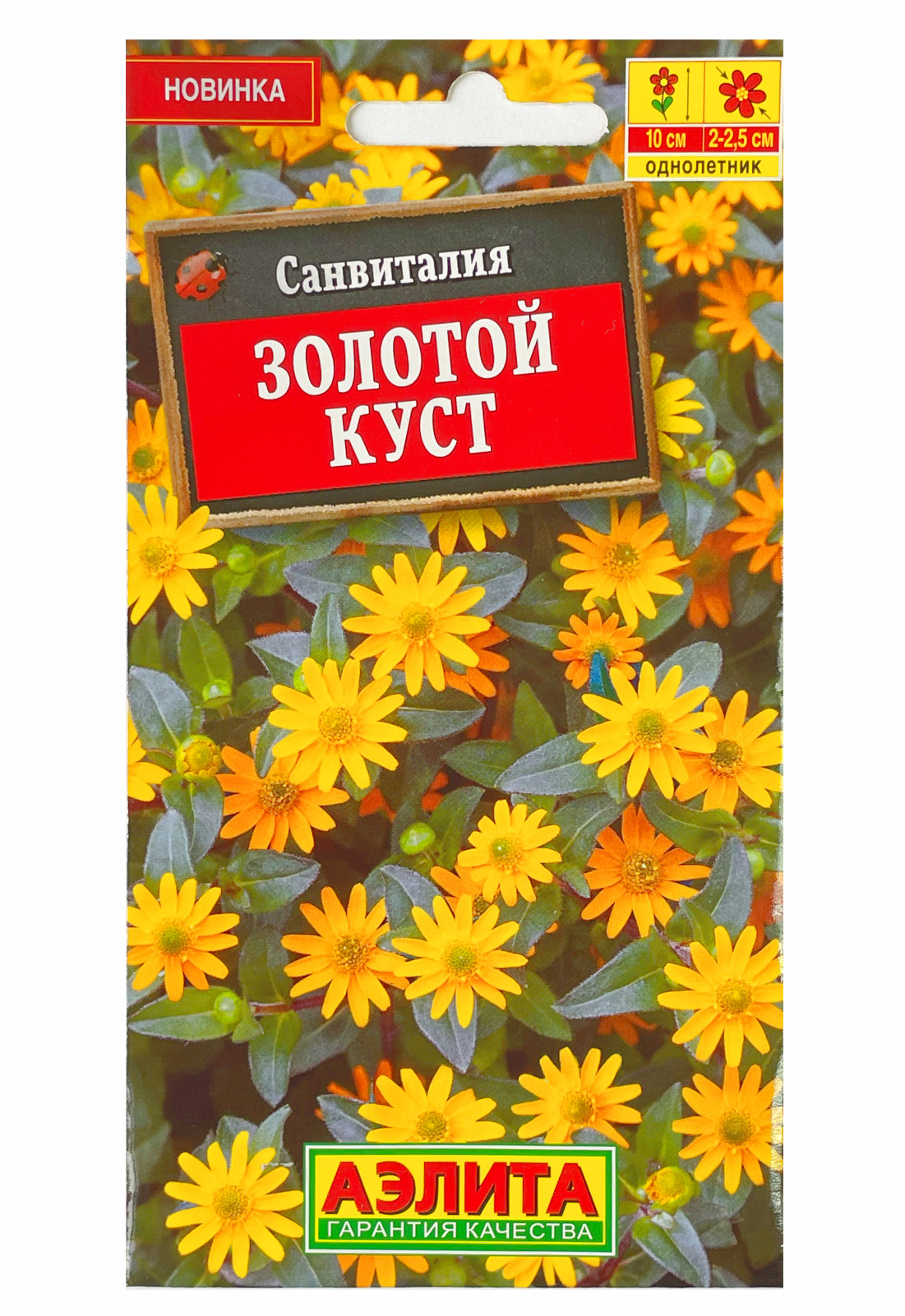 Санвиталия Купить Семена В Интернет Магазине