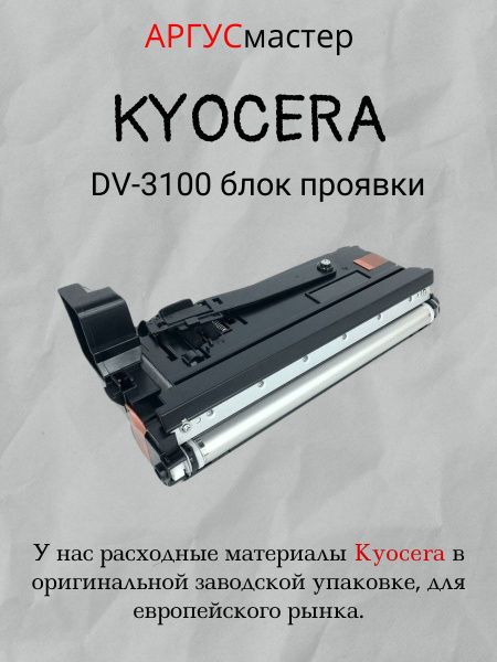 Kyocera Dv