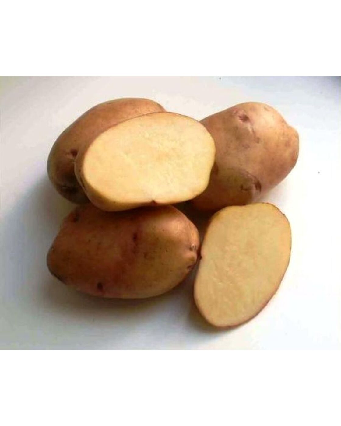 Картофель семенной Жуковский ранний