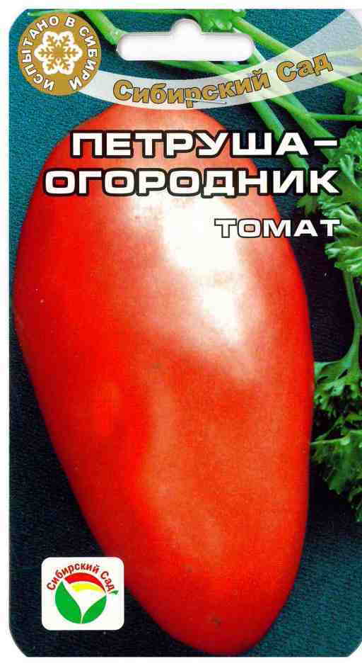 Томат Петруша Огородник Описание Характеристика Фото – Telegraph