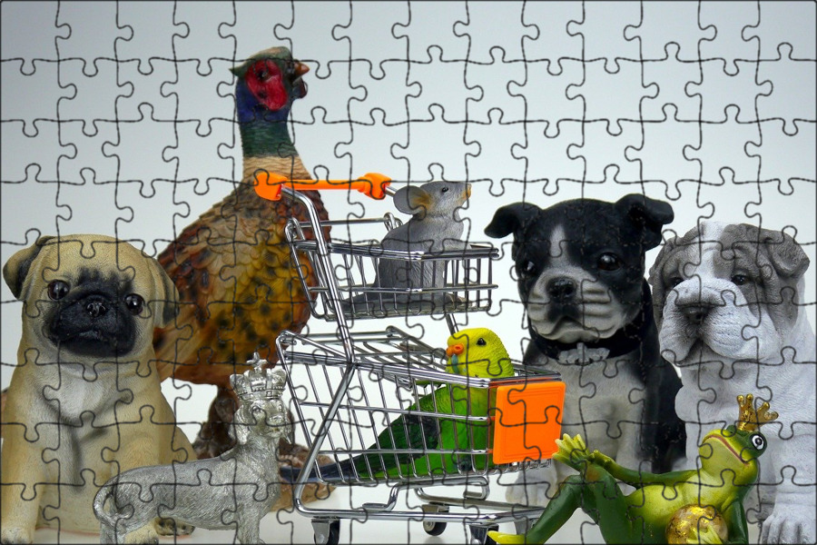 Интернет Магазин Зоотоваров Pets Интернет Магазин Зоотоваров Pets