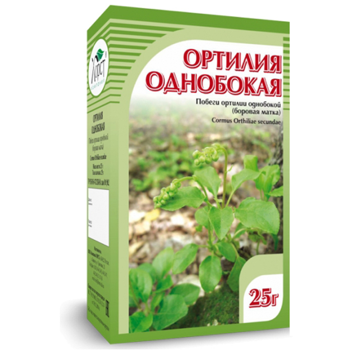 Купить Боровую Матку В Аптеке Спб