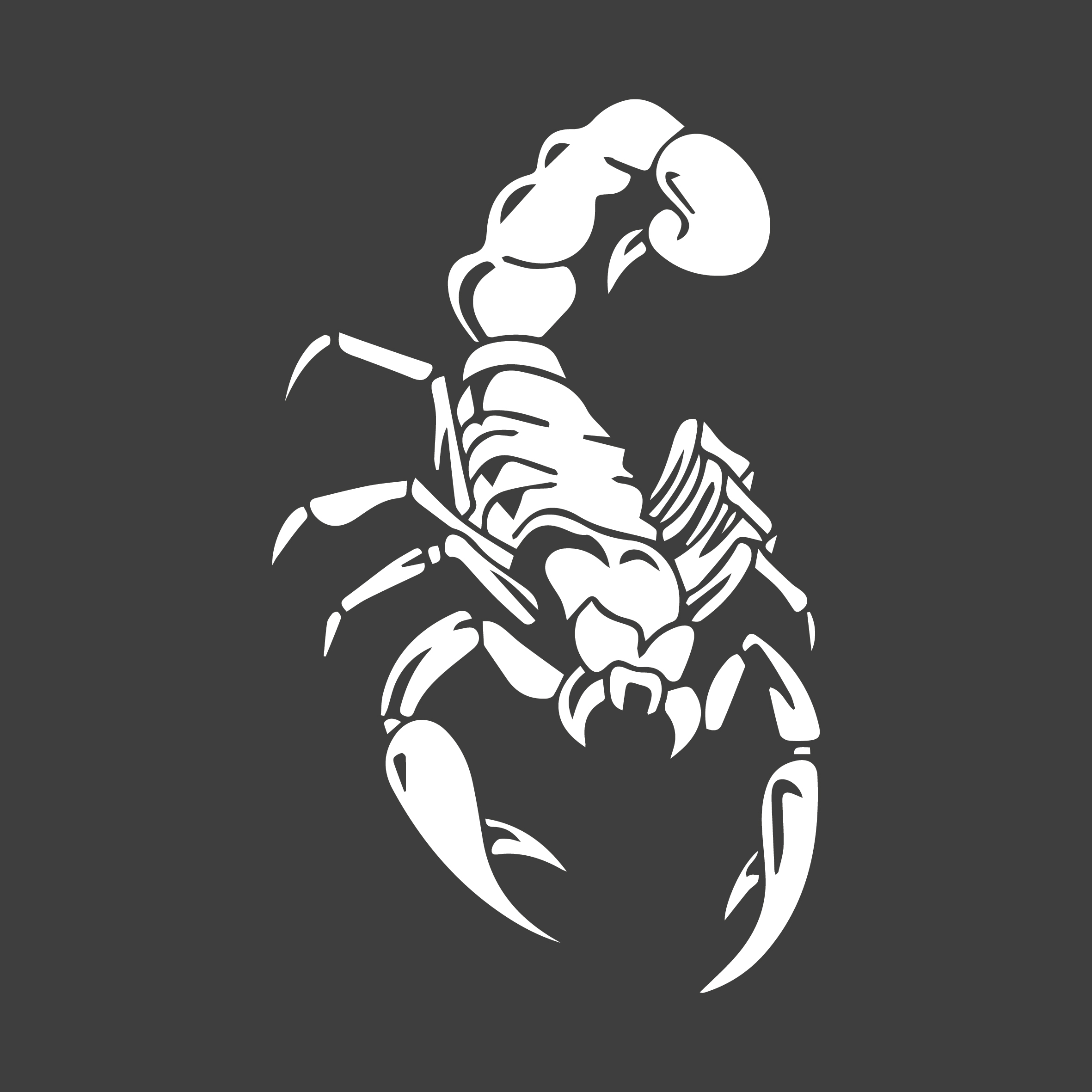 Белый Скорпион на черном фоне