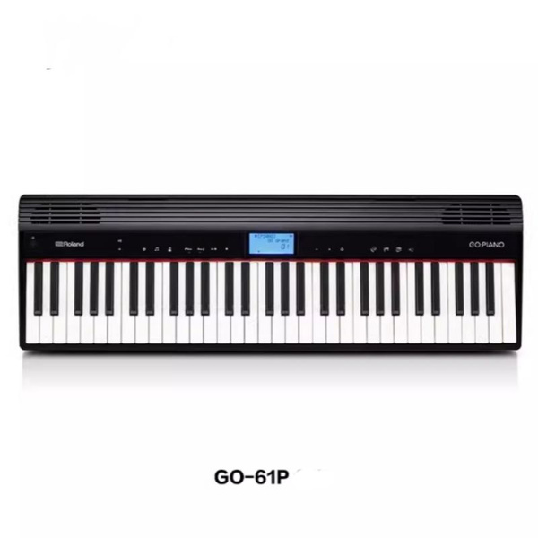 Roland Roland Go P