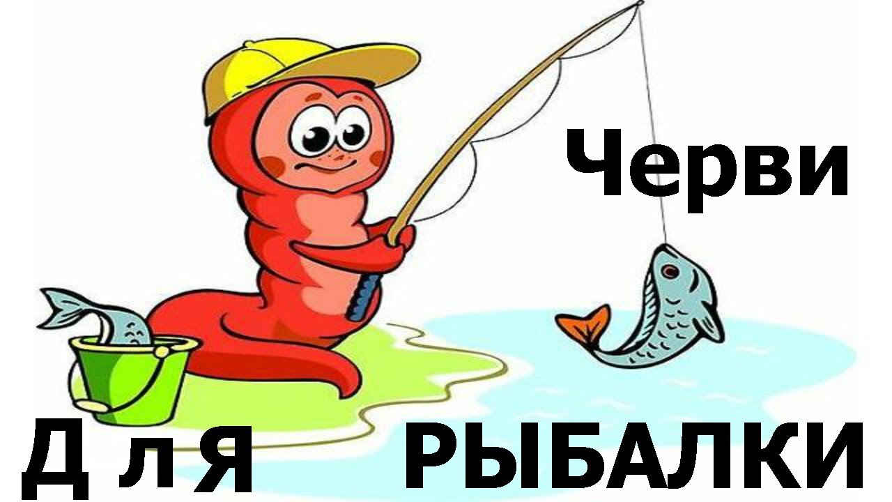 Картинка червяк на крючке