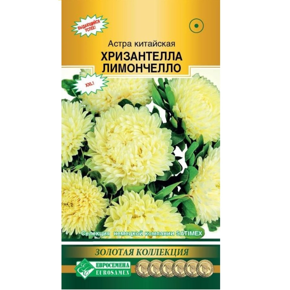 Семена Астры Купить В Интернет Магазине