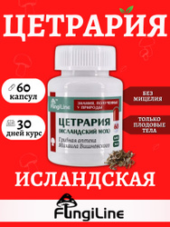 Аптека Михаила Вишневского Отзывы