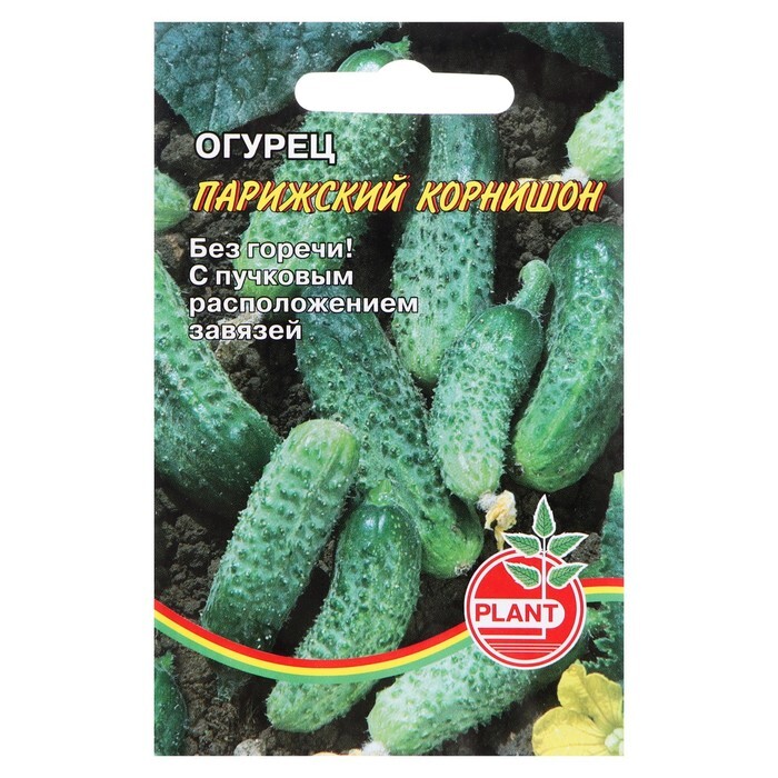 Огурцы Парижский Корнишон Отзывы Фото Урожайность