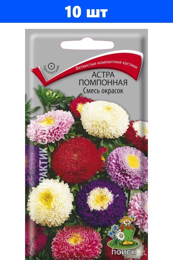 Семена Астры Купить В Интернет Магазине