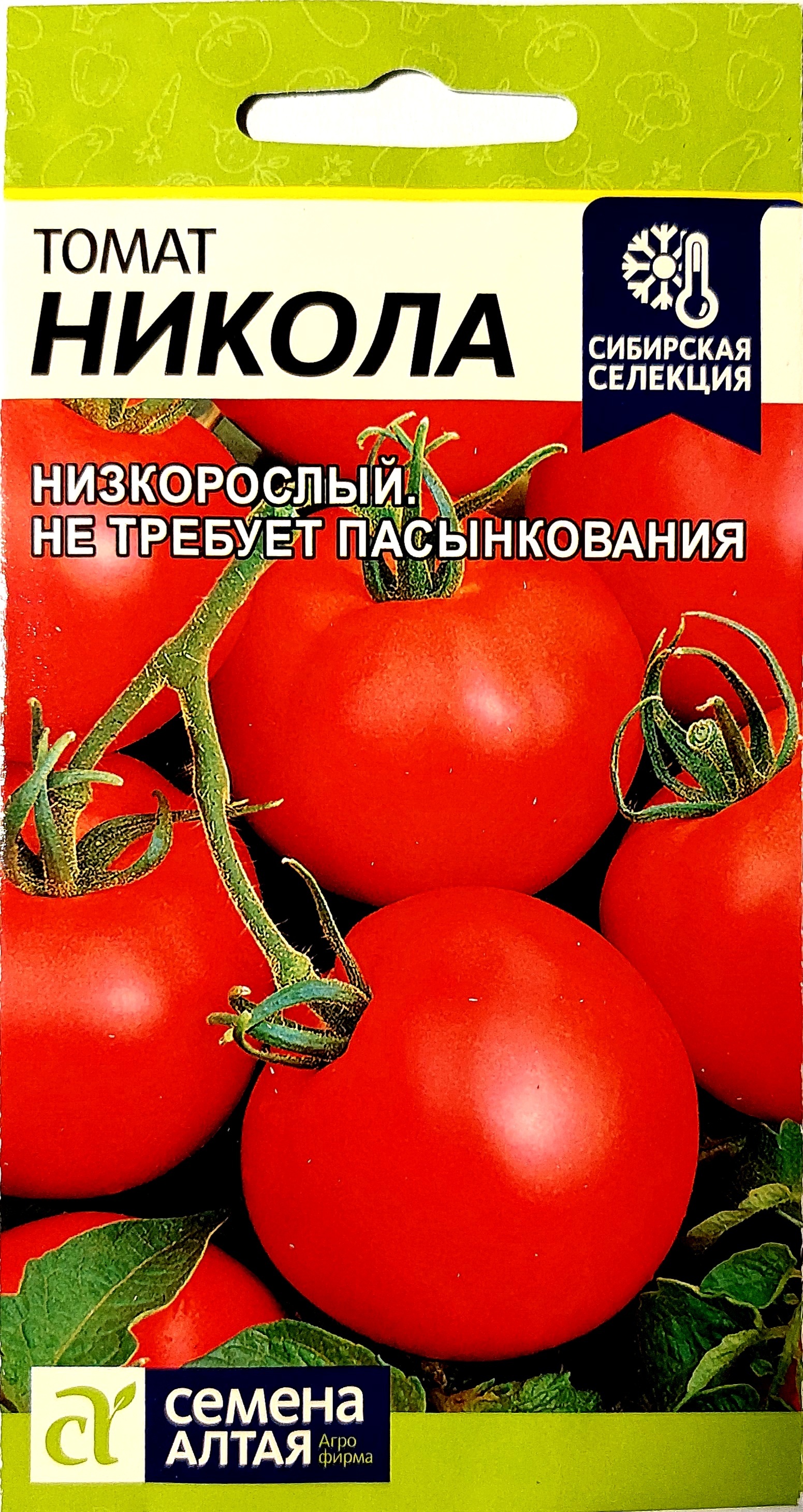 Томат Никола Отзывы Фото – Telegraph