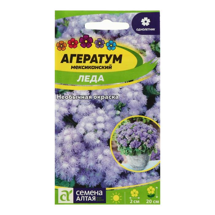 Агератум Фото Цветов – Telegraph