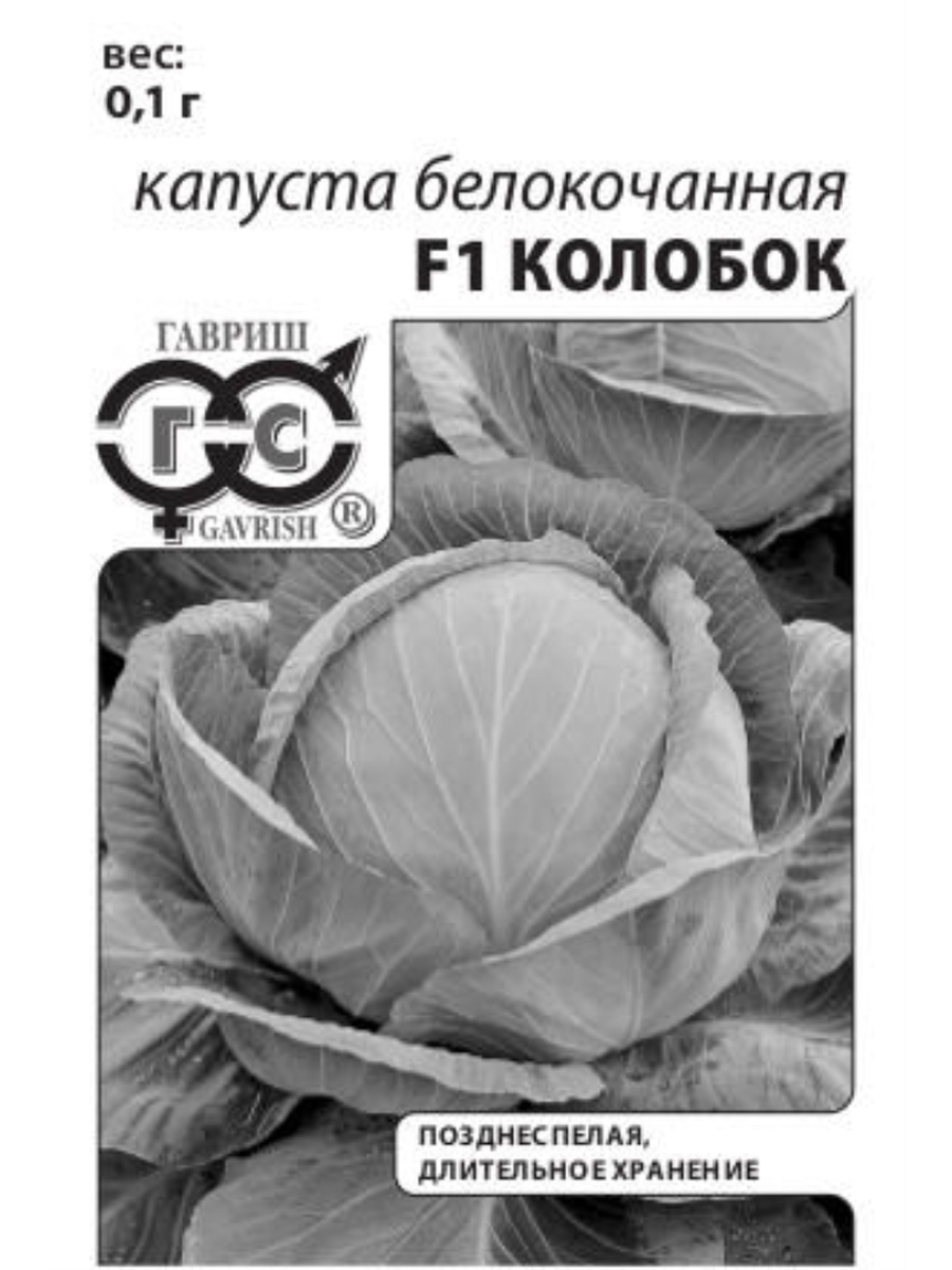 Капуста Колобок Фото Описание – Telegraph