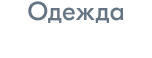 Одежда, обувь и аксессуары