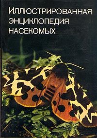 Насекомые — 12 книг