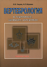 Ульрих э в мушкин а ю вертебрология в терминах цифрах рисунках