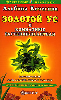 Золотой ус и комнатные растения-целители