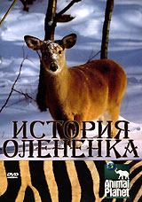 Animal Planet. История олененка