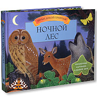 Книга "Ночной лес. Книга-панорама" - купить книгу ISBN 978-5-389-00102 ...