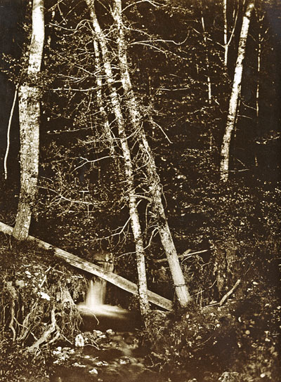 Новая история фотографии. Под редакцией Мишеля Фризо