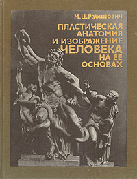 Изображение человека сбоку называется