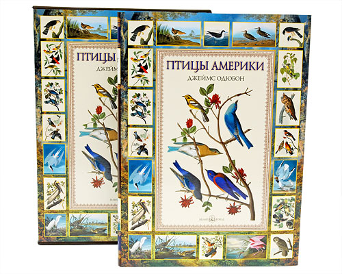 Птицы Америки (подарочное издание). Е. Коблик
