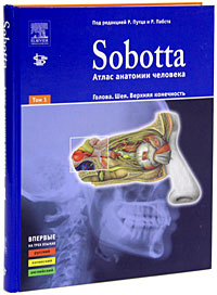 фото Sobotta. Атлас анатомии человека. В 2 томах. Том 1. Голова. Шея. Верхняя конечность