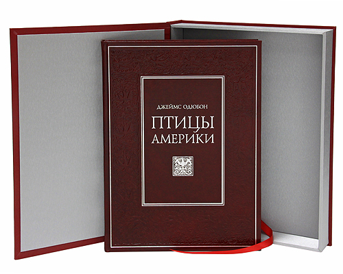 Птицы Америки (эксклюзивное подарочное издание). Е. Коблик