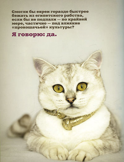 Почему собаки лучше кошек. Бредли Тревор Грив