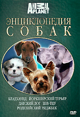 Энциклопедия собак: Бладхаунд, йоркширский терьер, датский дог, ши-тцу, родезийский риджбек цена Энциклопедия собак: Бладхаунд, йоркширский терьер, датский дог, ши-тцу, родезийский риджбек цены онлайн