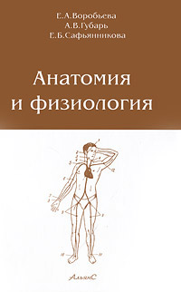 Анатомия и физиология человека проект Анатомия и физиология - купить с доставкой по выгодным ценам в интернет-магазине