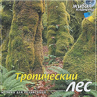 Тропический лес. Музыка для релаксации