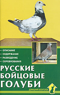 Русские бойцовые голуби