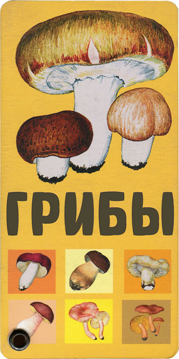 Где Купить Книги Про Грибы