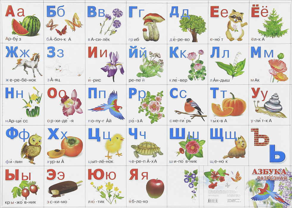 Книга "Азбука разрезная. Плакат" – купить книгу ISBN 978-5-17-082883-8 ...