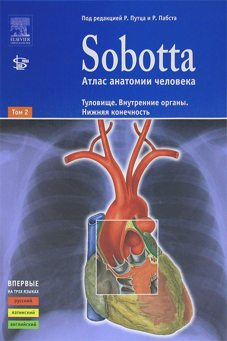 фото Sobotta. Атлас анатомии человека. В 2 томах. Том 2. Туловище. Внутренние органы. Нижняя конечность