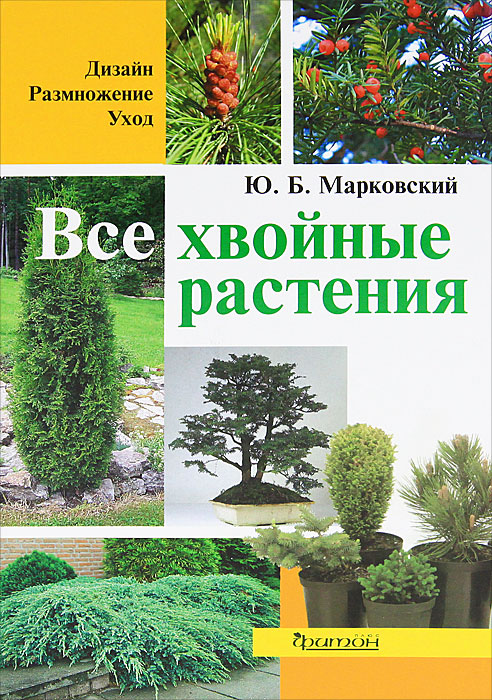 Хвойные Растения Купить В Интернет Магазине