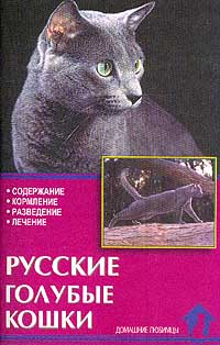 фото Русские голубые кошки. Стандарты. Содержание. Разведение. Профилактика заболеваний