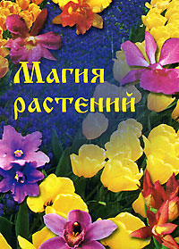 Магия Цветов Интернет Магазин