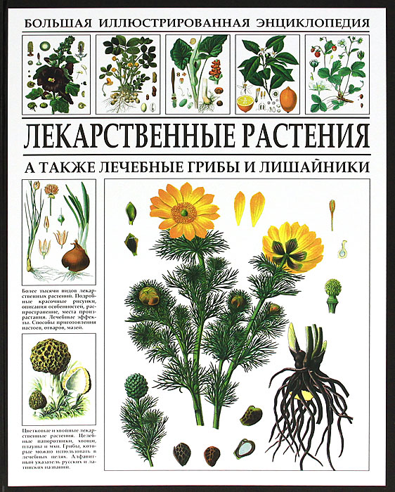 Три примера лекарственных растений Большая иллюстрированная энциклопедия. Лекарственные растения - купить с доставк