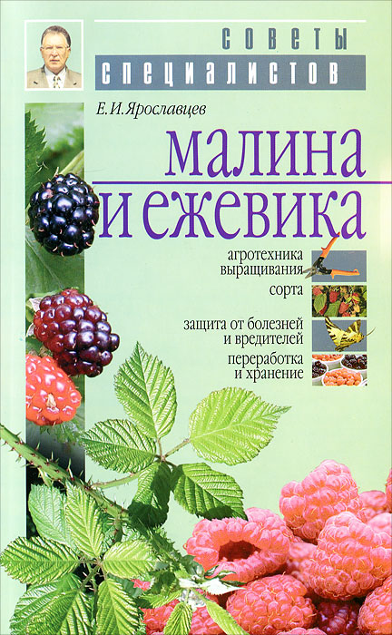 Книга малина. Ежевика урожайная. Книги про малину. Малин книги. Книга малина.