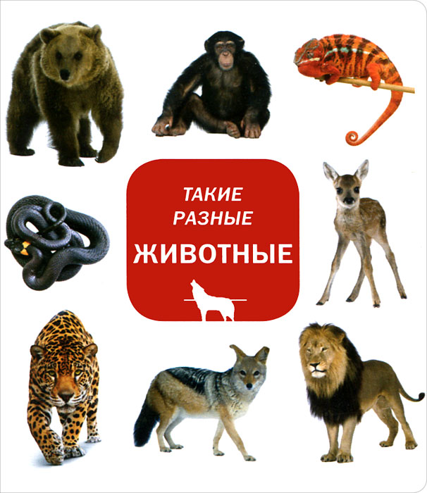 Такие разные животные. Такие разные животные. Такие разные книги. Такие разные животные. Динозавры.