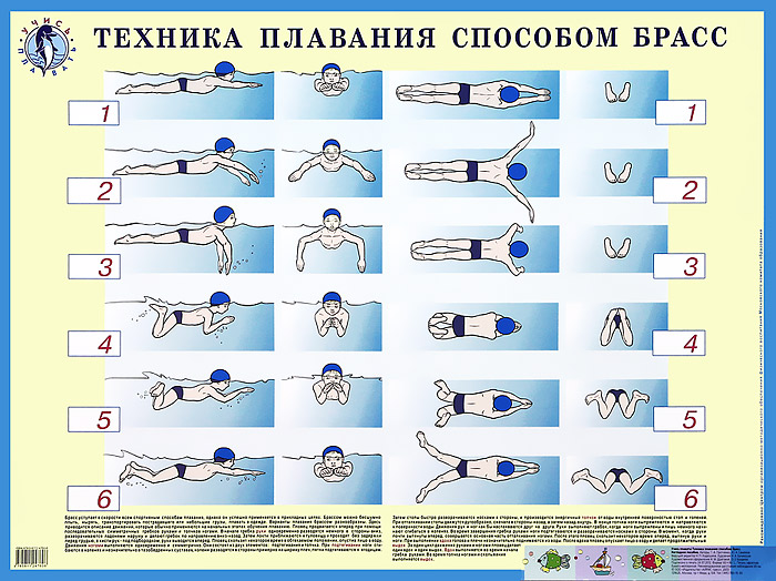 Картинки брасс техника