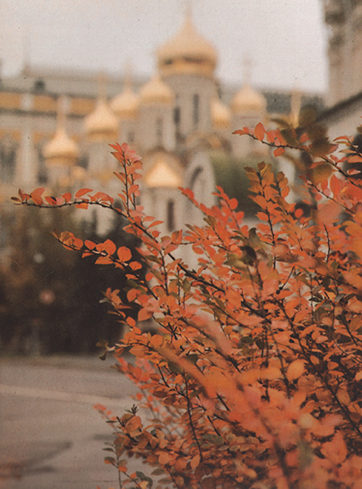 фото Государственные музеи Московского Кремля. Кремль. Альбом