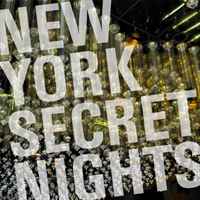 фото New York Secret Nights Earbooks