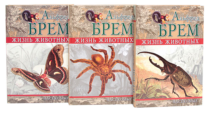 Брем жизнь. Жизнь животных. Насекомые книга.