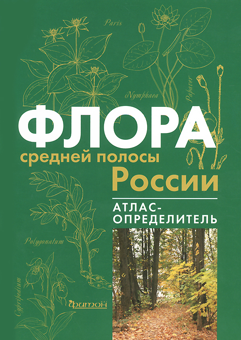 Лес Средней Полосы Фото Лес Средней Полосы Фото