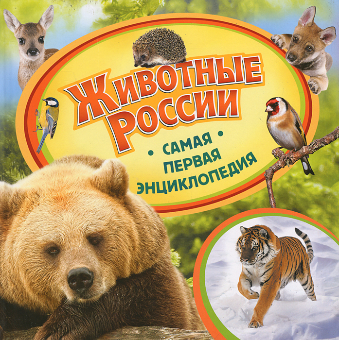 Двигатели россии книга