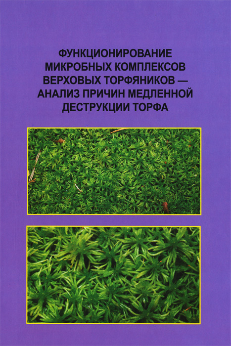 фото Функционирование микробных комплексов верховых торфяников - анализ причин медленной деструкции торфа